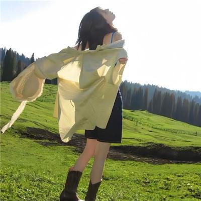 驯鹿大冒险：超越北极光